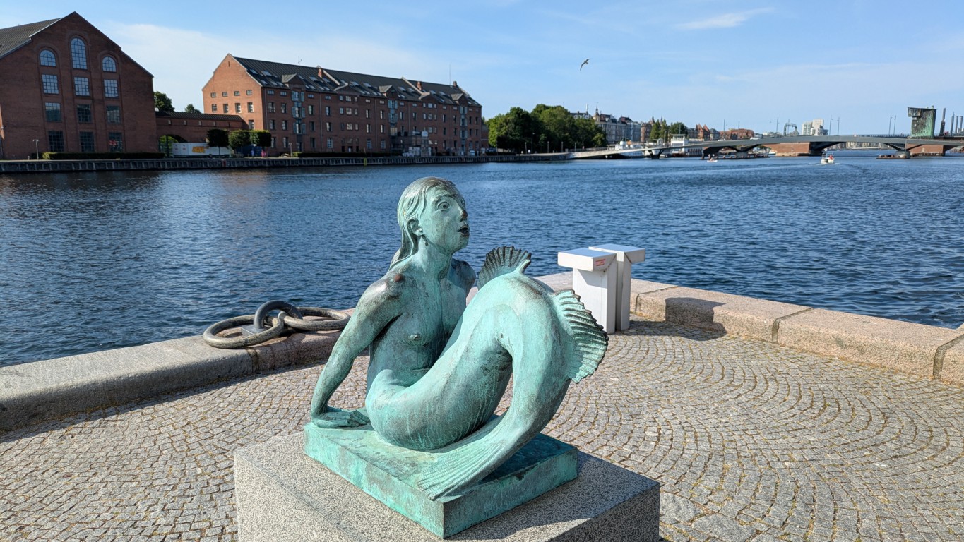 Not Little Mermaid